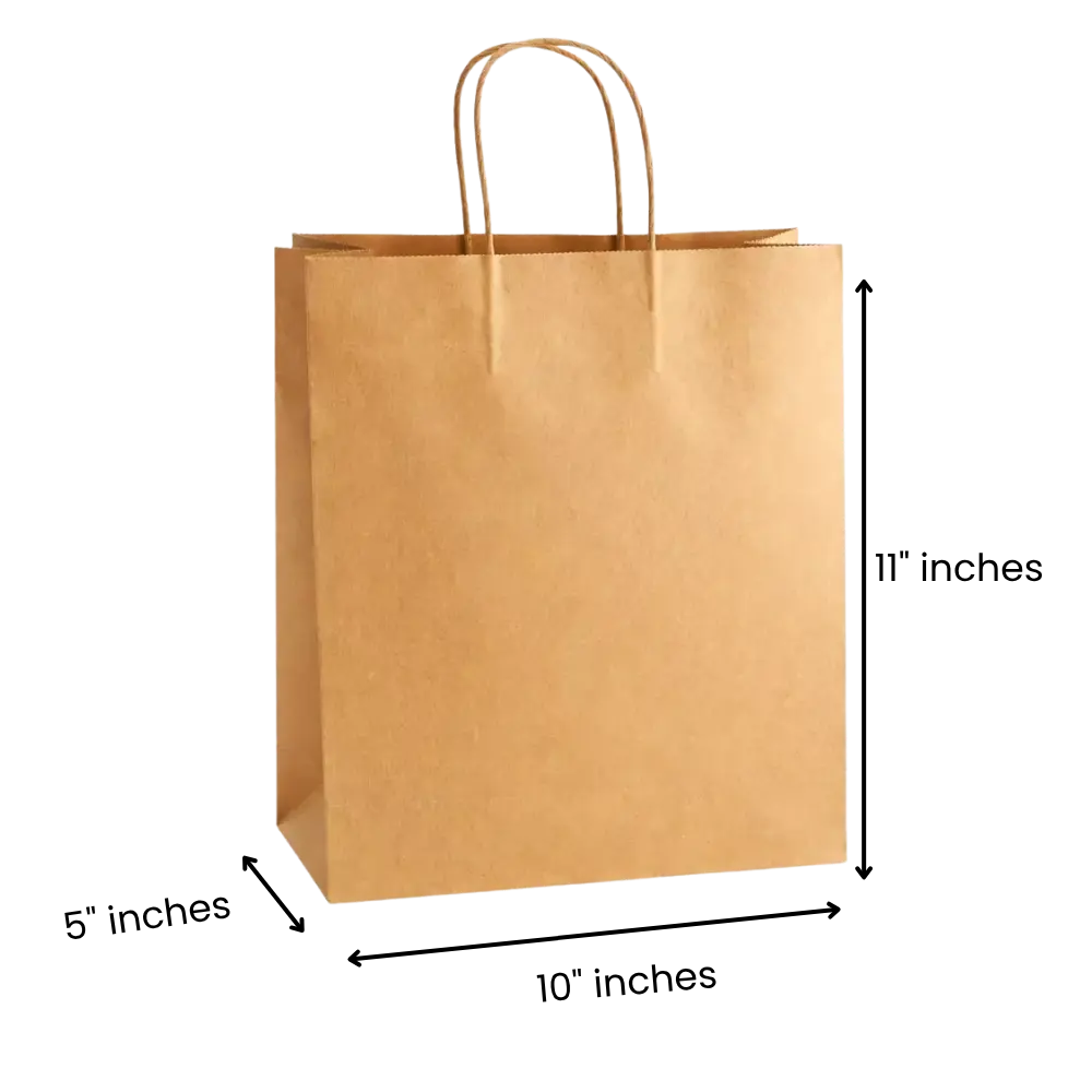 10x5x11 Inches Eco Pack Paper Bag With Twisted Handle