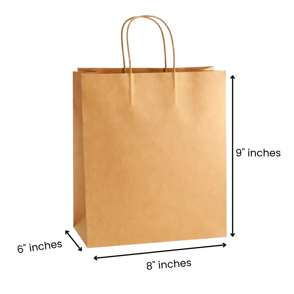 9x6x8 Inches Eco Pack Paper Bag With Twisted Handle