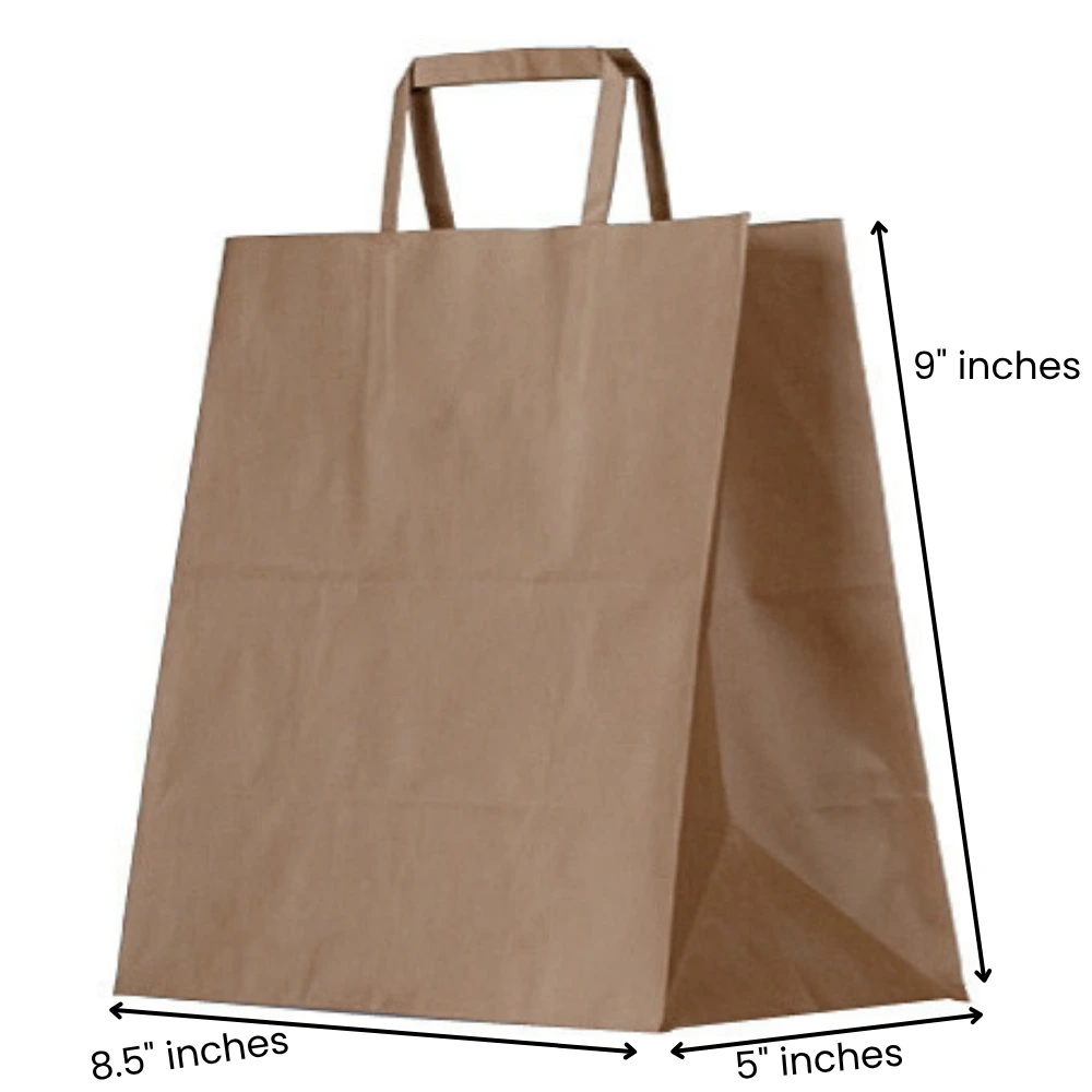 8.5x5x9 Inches Eco Pack Paper Bag With Flat Handle