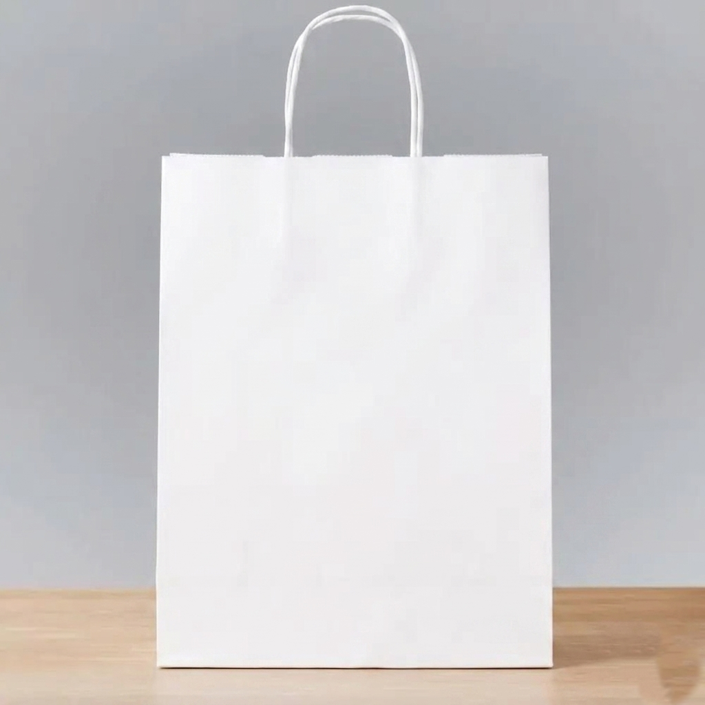 10×5×14 Inches Eco Pack White Paper Bag with Twisted Handle - Image 2